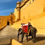Rajasthan Royal Heritage Tour (7 Days)
